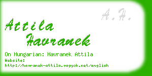 attila havranek business card